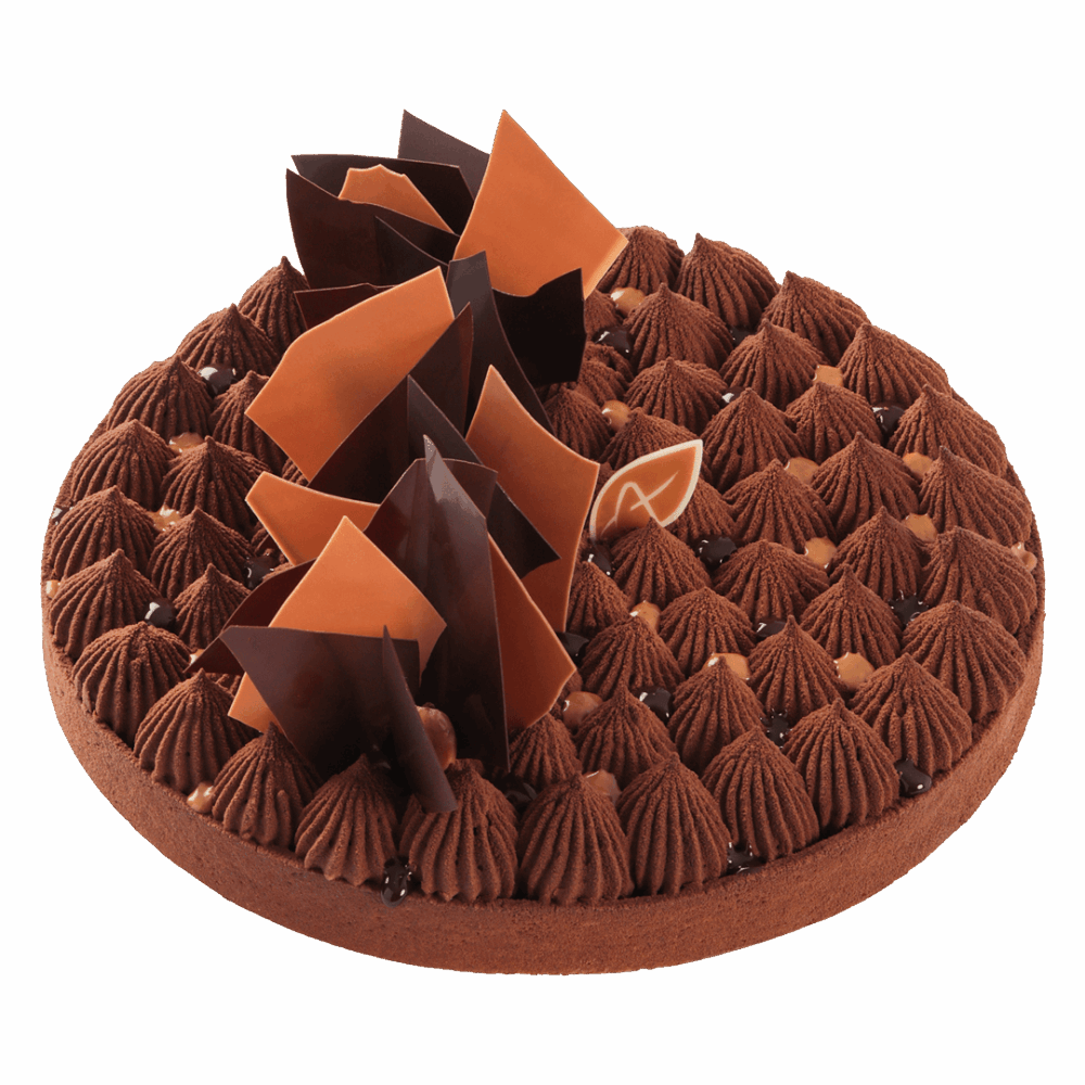 TARTE CHOCOLAT NOISETTE