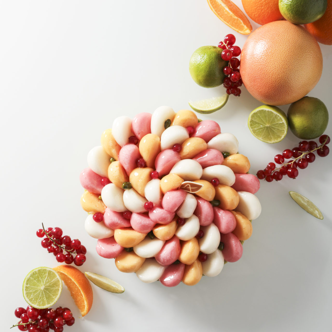 BOUQUET FINAL – Image 2