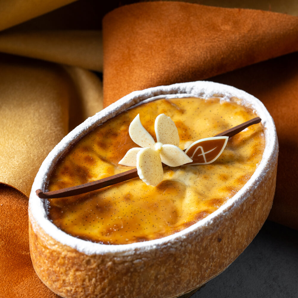FLAN ORCHIDEE