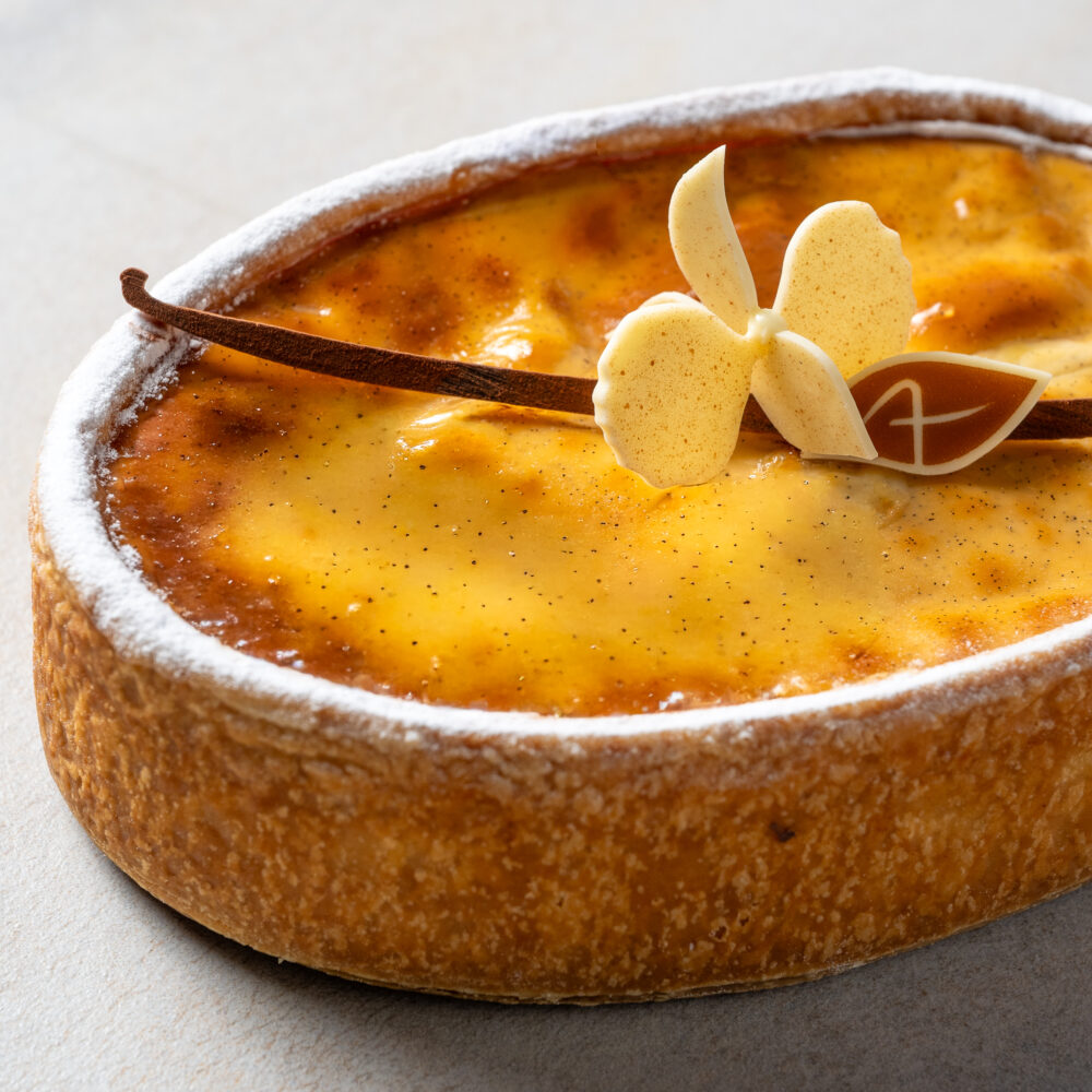 FLAN ORCHIDEE