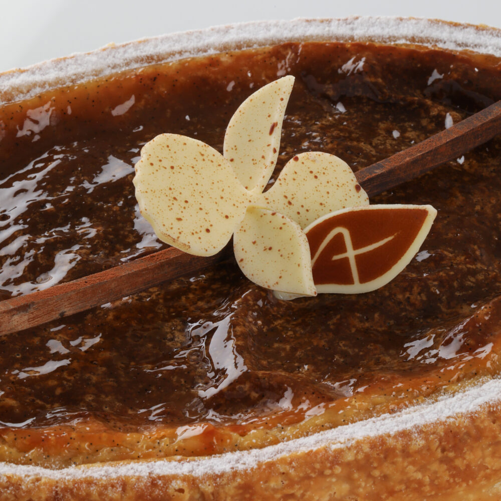 FLAN ORCHIDEE