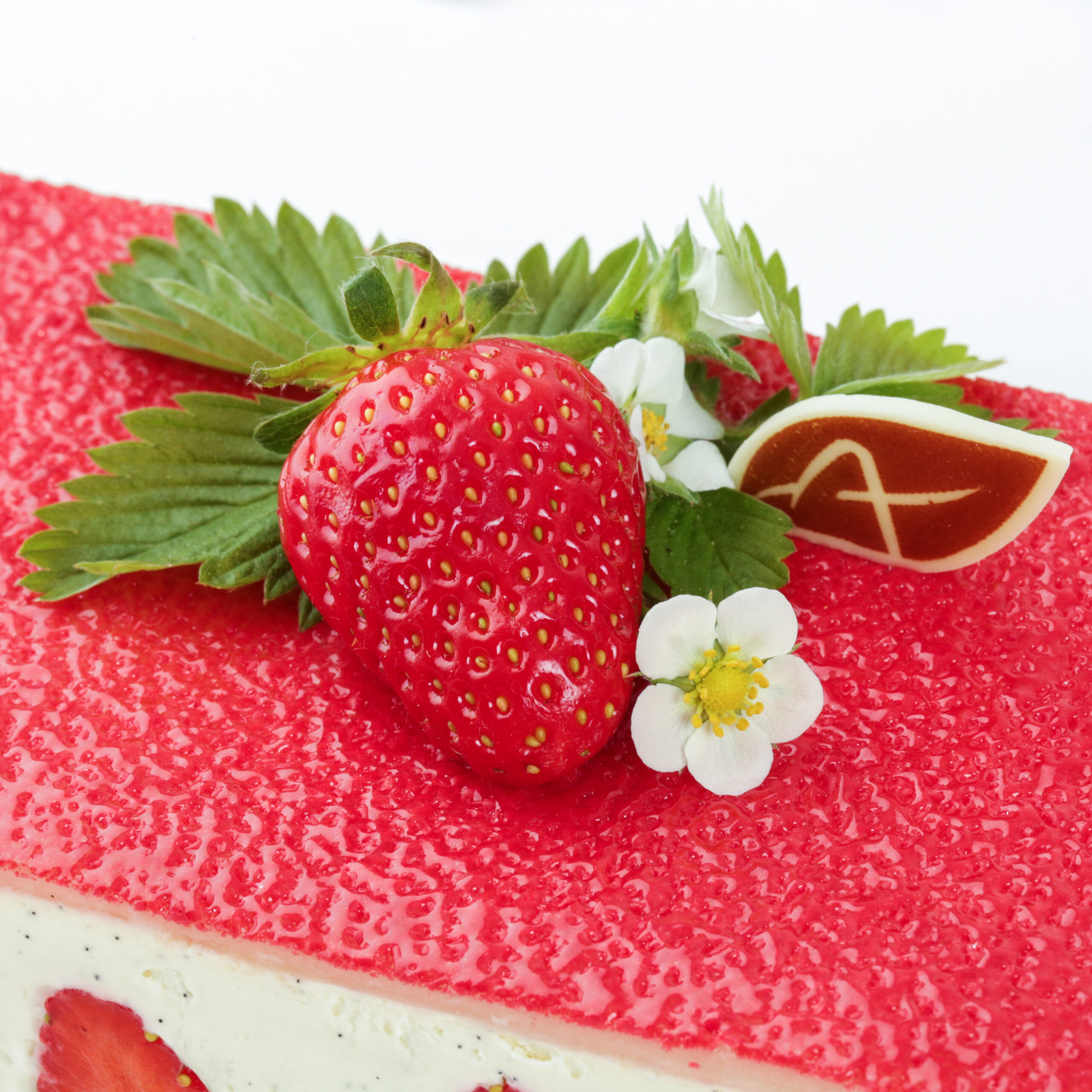FRAISIER – Image 2