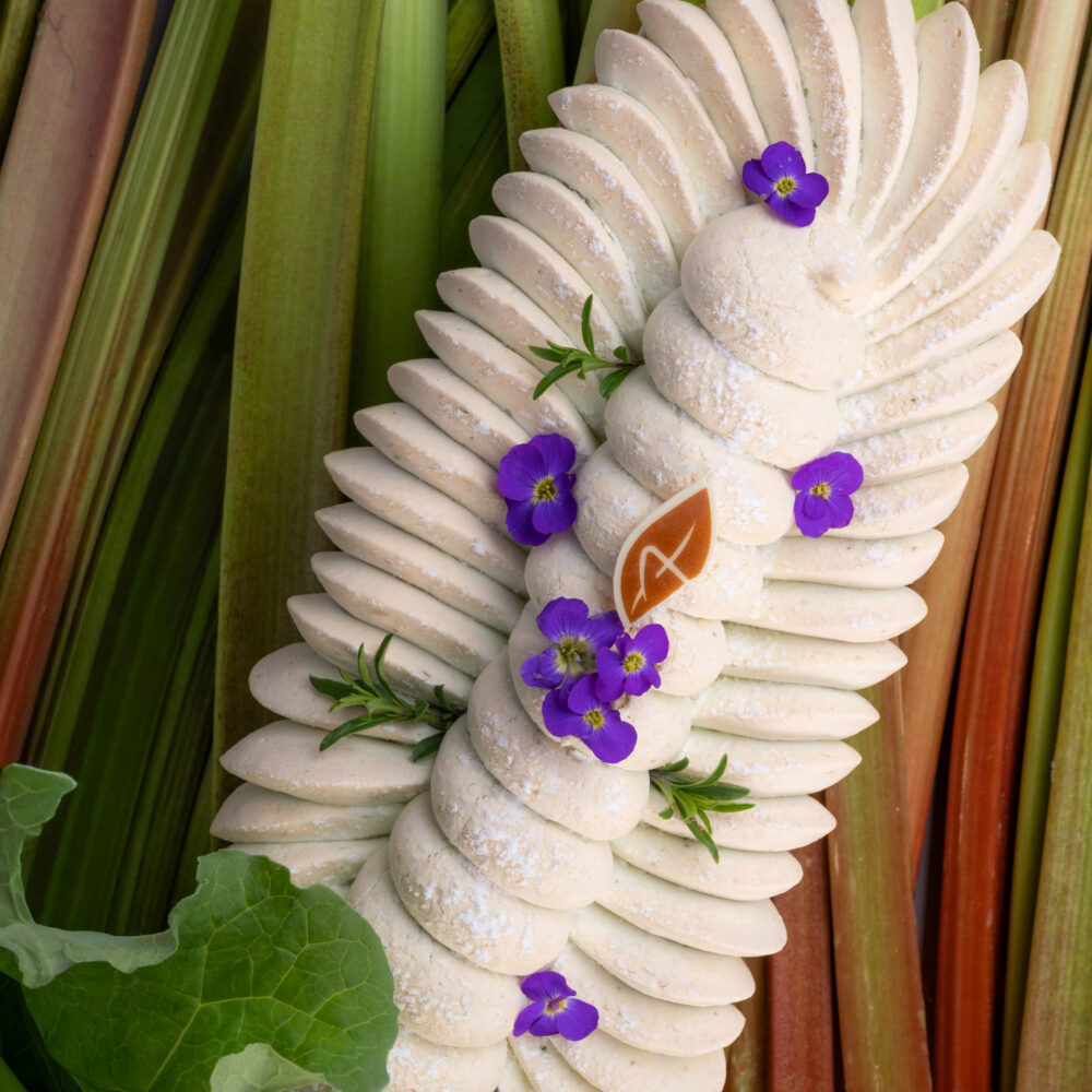 TARTE RHUBARBE MERINGUÉE