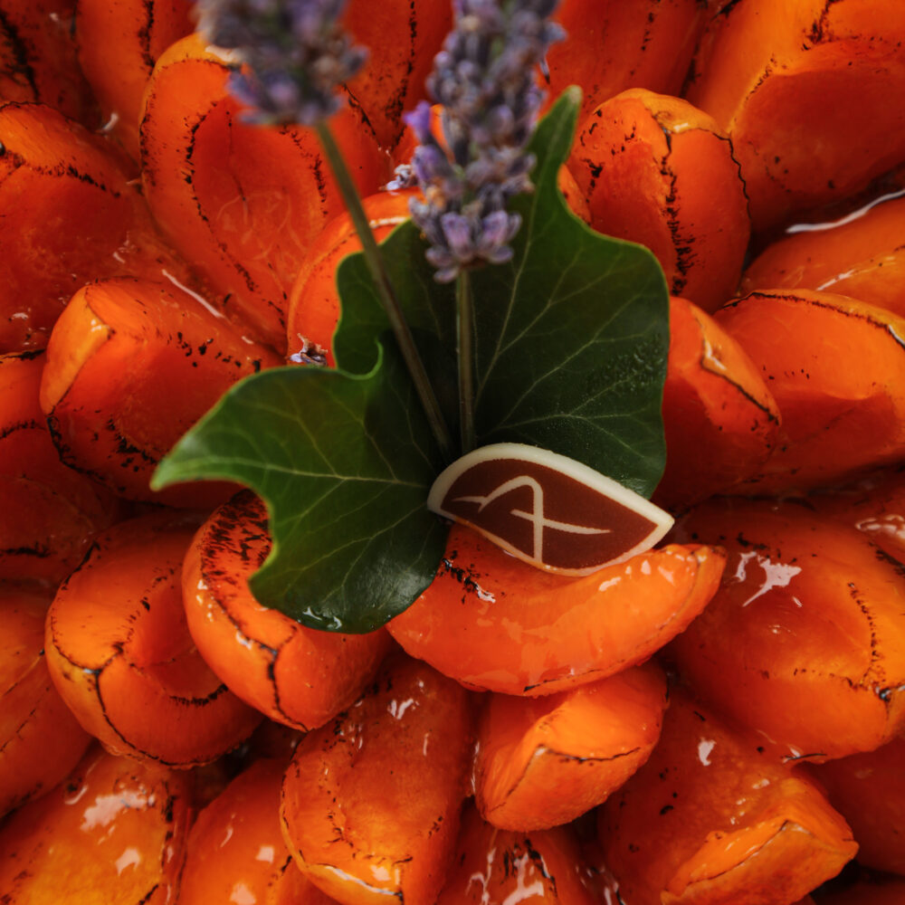 TARTE AUX ABRICOTS