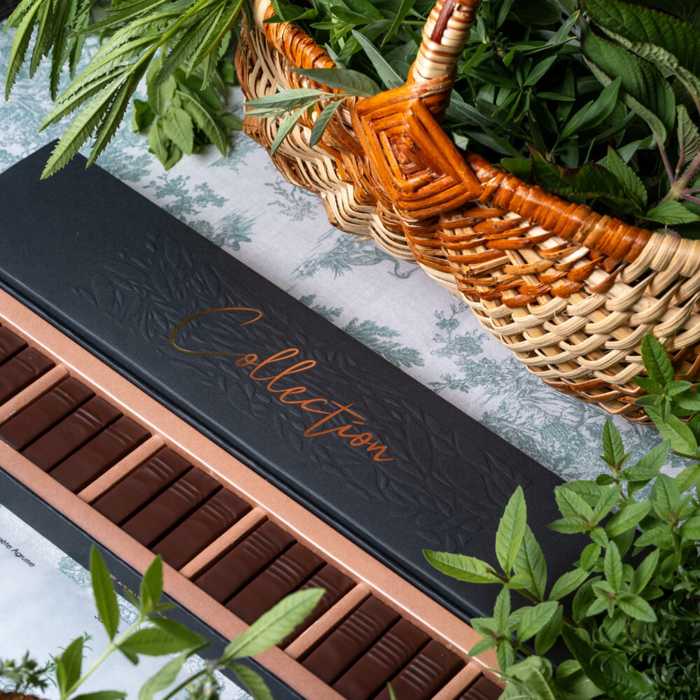 COLLECTION AUX HERBES AROMATIQUES