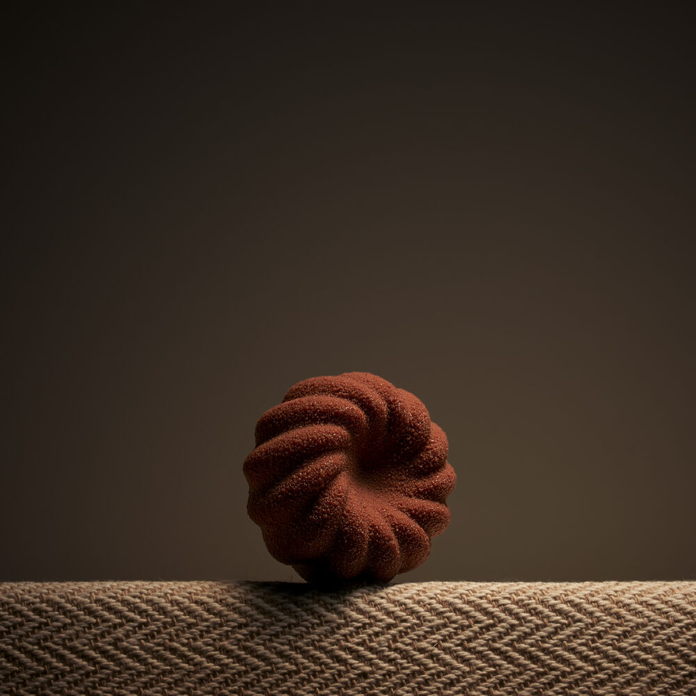BISCUITS DE SAVOIE
