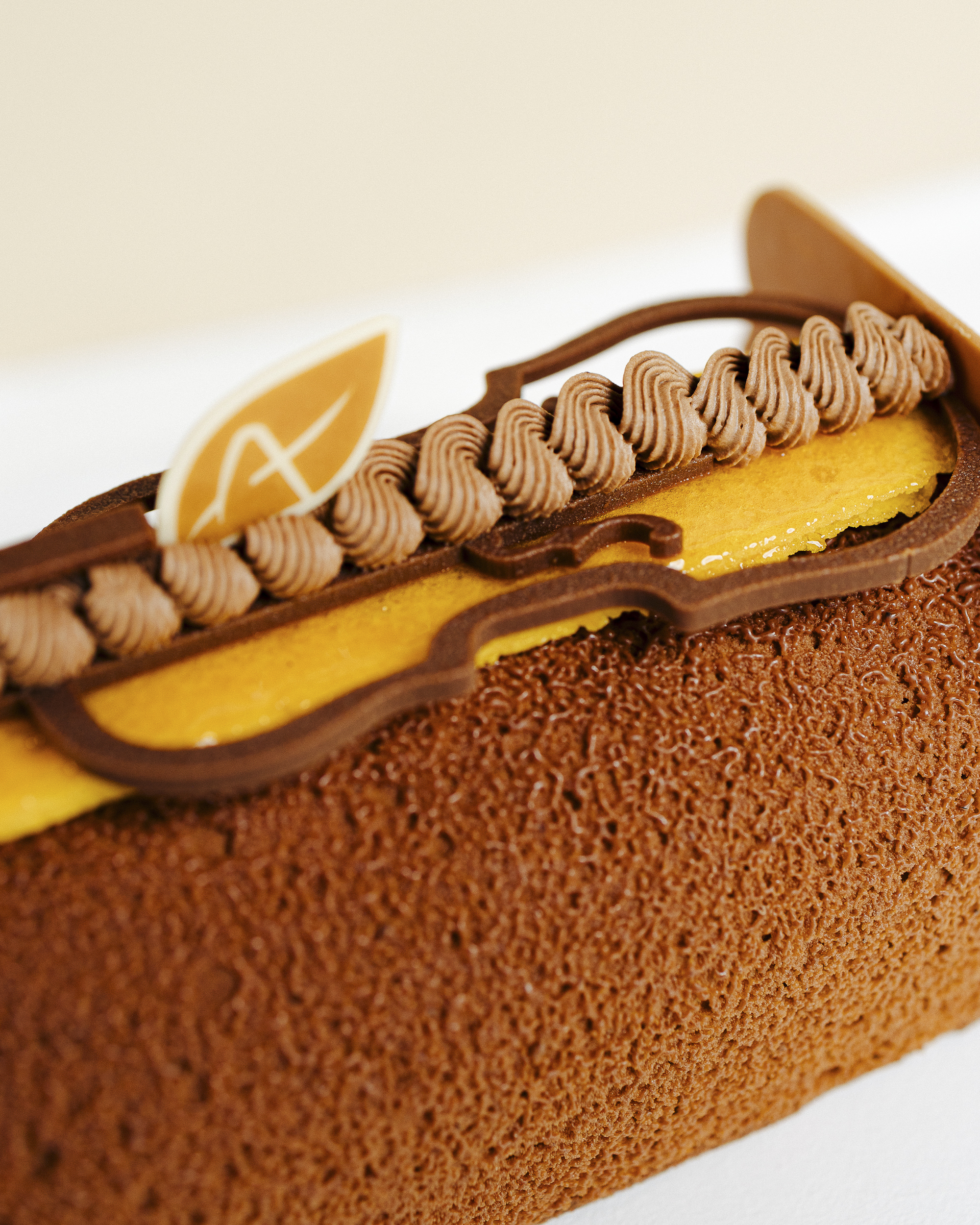 BUCHE ADAMS – Image 2